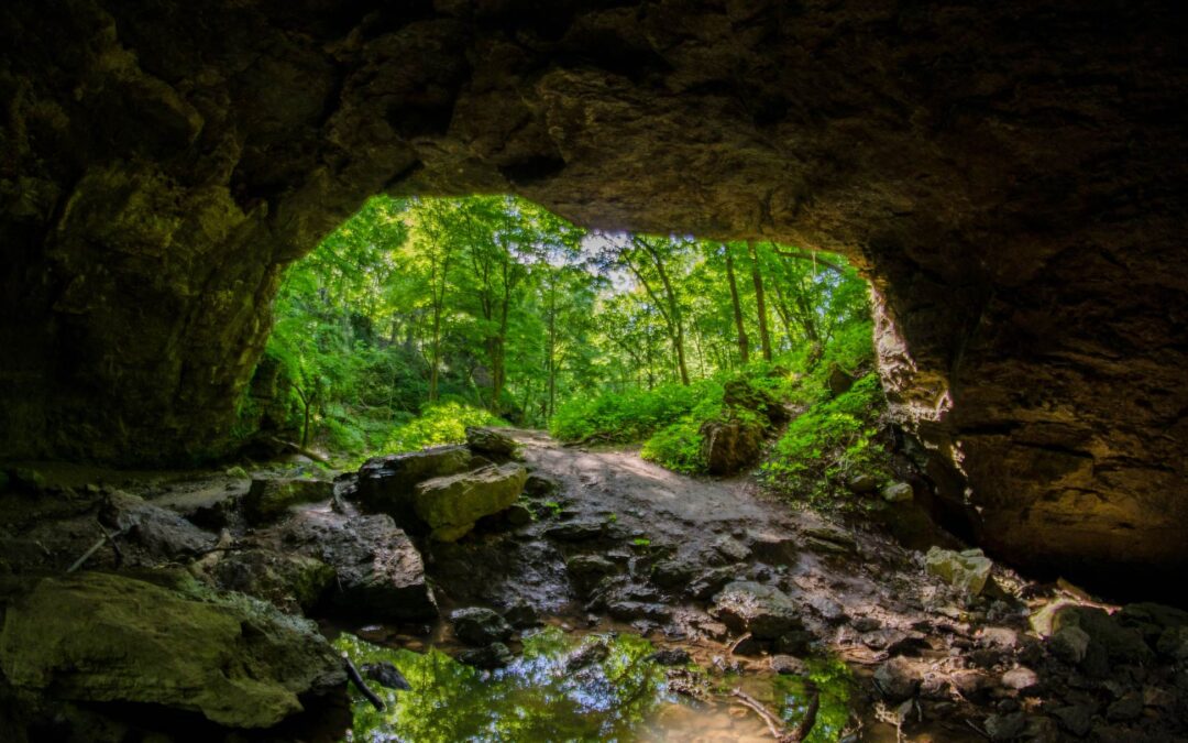 Codependencia: La enfermedad familiar