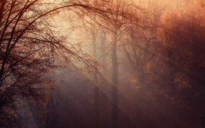 Auto-nivelar y sanar el colesterol